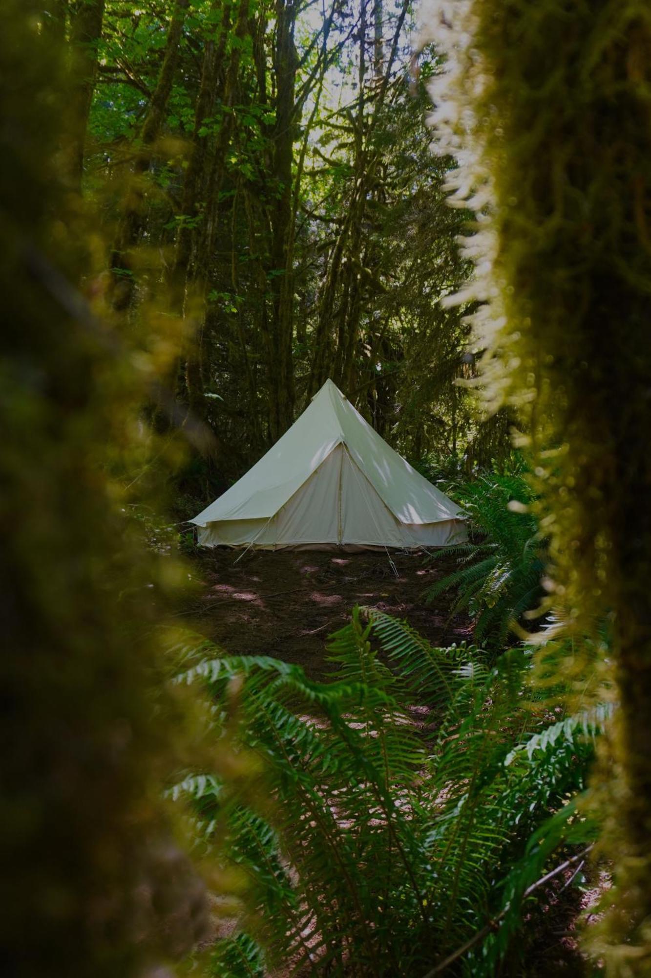 Olympic Glamping Luxury tent *