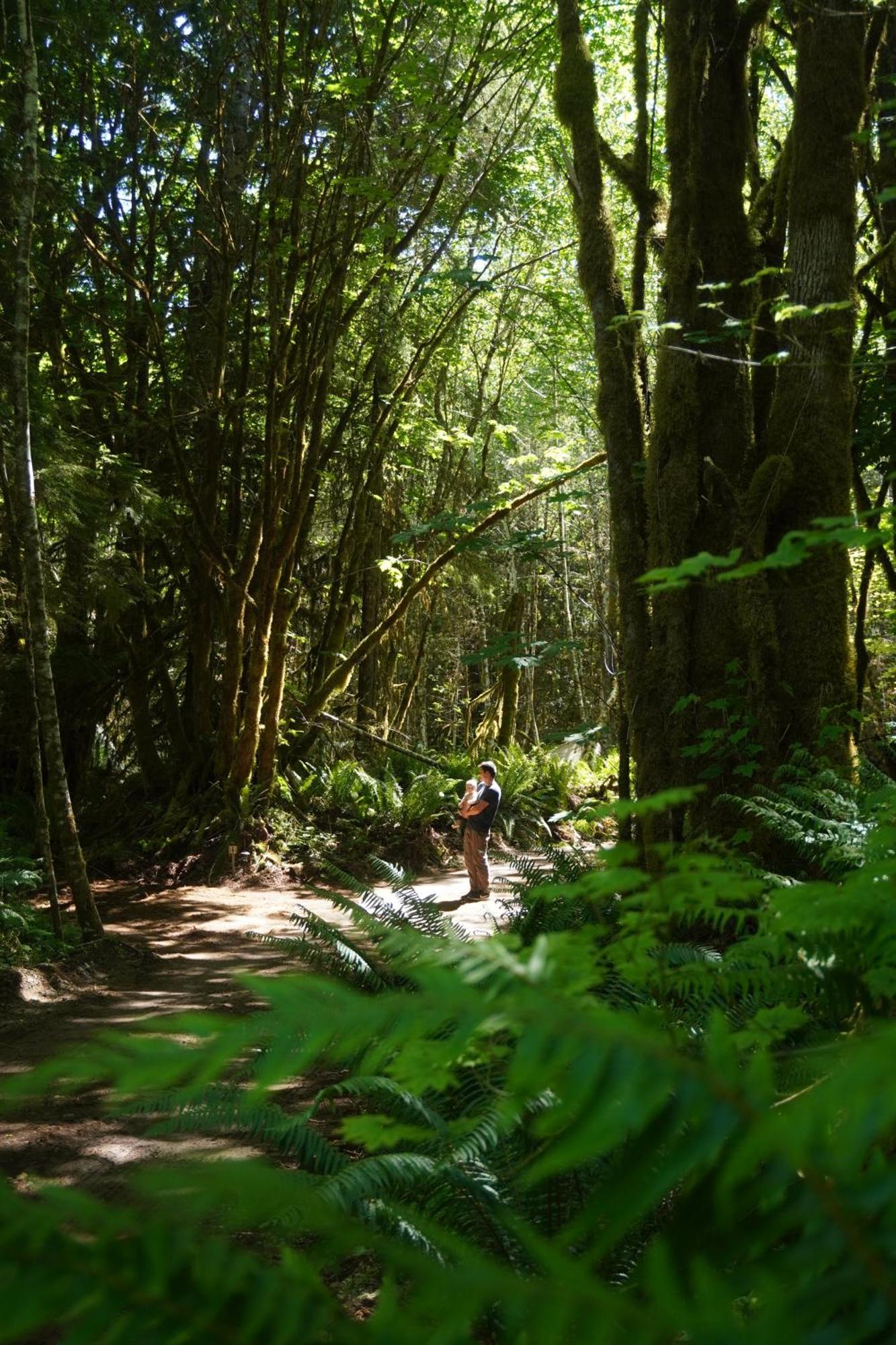 Olympic Glamping * Port Angeles